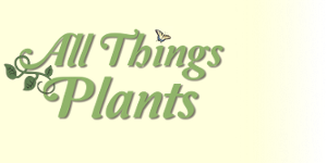 All Things Plants