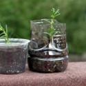 Recycle Containers for Seed Starting