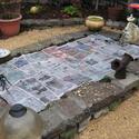 Mulch with Wet Newspaper