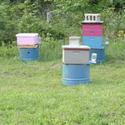 Setting Up Your Bee Yard: Choosing the Location
