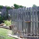 Use a Wood Pallet for Growing Vines