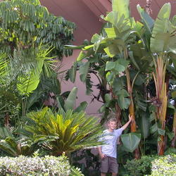 Location: Epcot Center, Orlando, FL
Date: Jul 15, 2005 1:48 PM
The plant in question is the one I'm leaning against