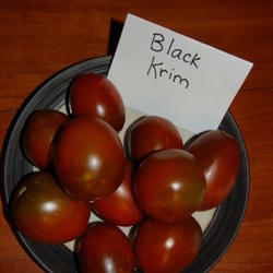 Location: Mackinaw, IL
Date: Aug 9, 2011 1:22 PM
Produced many small, glossy fruits.