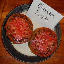Location: Mackinaw, IL
Date: Aug 9, 2011 1:22 PM
Very meaty.  Rich, complex flavor.  My favorite tomato!