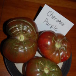 Location: Mackinaw, IL
Date: Aug 9, 2011 1:22 PM
Dark purplish-brown with green shoulders.  My favorite tomato!
