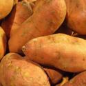 All About Sweet Potatoes