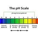 Taking the Mystery out of Soil pH