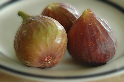 Photo of Edible Fig (Ficus carica 'Celeste') uploaded by sheryl