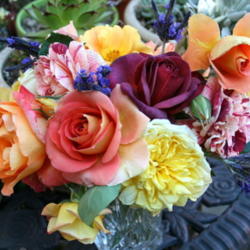 Enjoying Roses in Vases