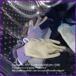 Thumb of 2012-01-31/critterologist/8efbe4
