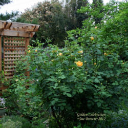 Location: My Mom's garden
Date: 2012-04-23