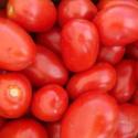 What Is a Determinate Tomato?