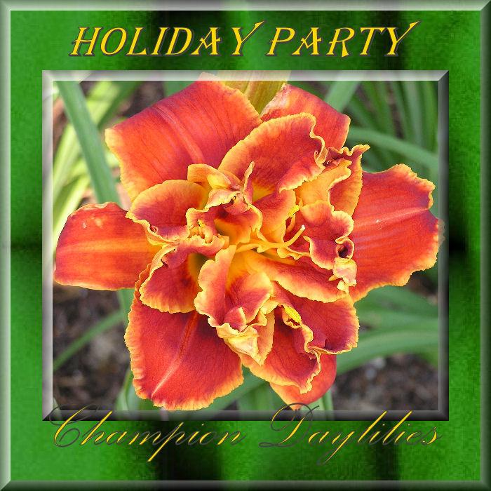 Photo of Daylily (Hemerocallis 'Holiday Party') uploaded by Joy