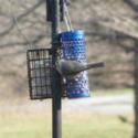 Suet Bird Feeders for Nesting Material
