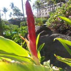 Location: Ka'anapali, Maui, Hawaii
Date: 2012-10-12