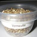 Seed Starting Tip: Mulch with Vermiculite