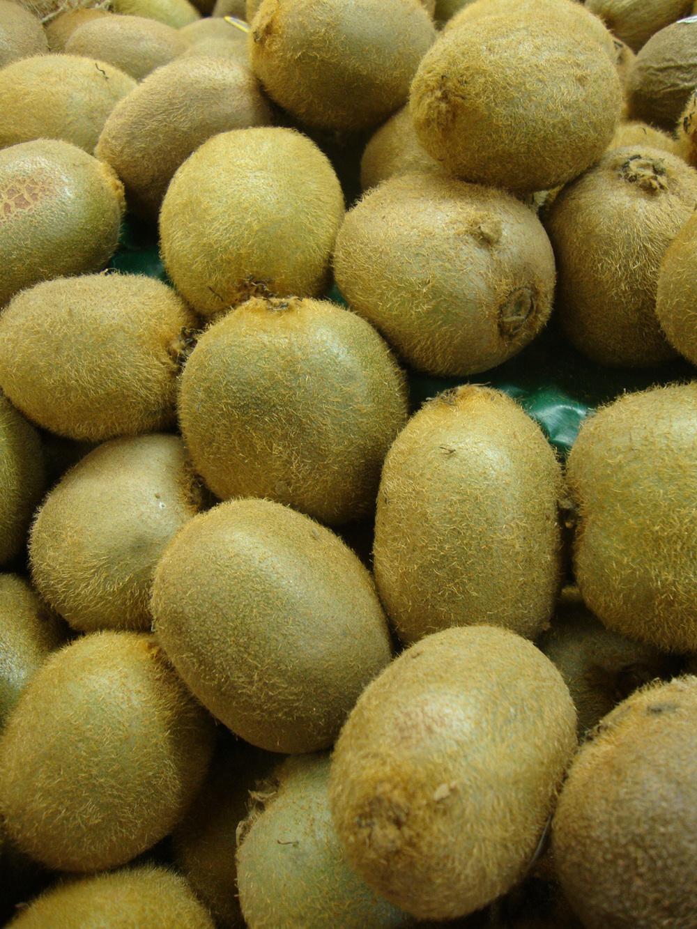Photo of Kiwi Fruit (Actinidia chinensis var. deliciosa) uploaded by Paul2032