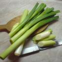 Leeks for Container Vegetable Gardening