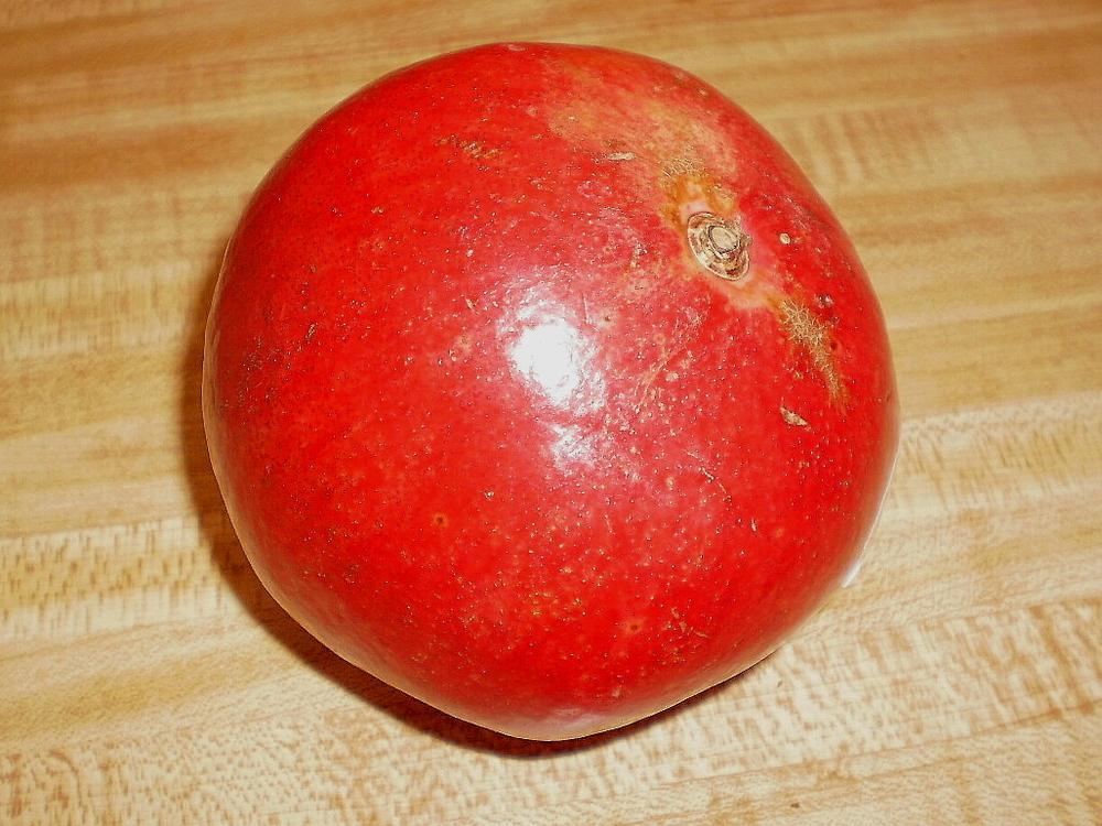 Photo of Pomegranate (Punica granatum 'Wonderful') uploaded by SongofJoy