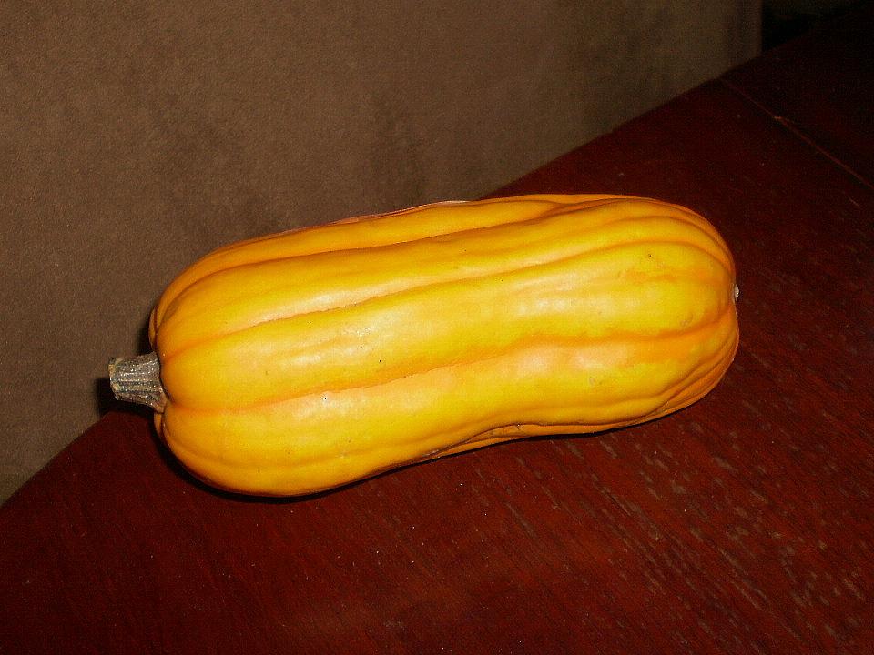 Photo of Gourds, Squashes and Pumpkins (Cucurbita) uploaded by SongofJoy
