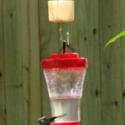 How To Make an Ant Moat for Your Hummingbird Feeder