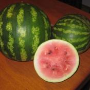 'Crimson Sweet' watermelons from our 2011 garden.