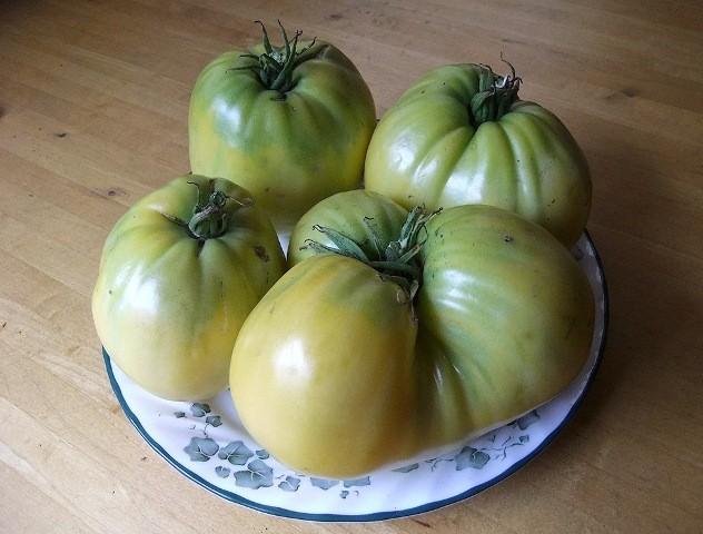 Photo of Tomato (Solanum lycopersicum 'Basinga') uploaded by vic