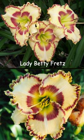 Photo of Daylily (Hemerocallis 'Lady Betty Fretz') uploaded by Calif_Sue