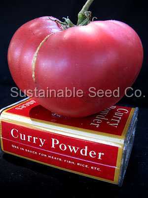 Photo of Tomato (Solanum lycopersicum 'Cherokee Purple') uploaded by vic