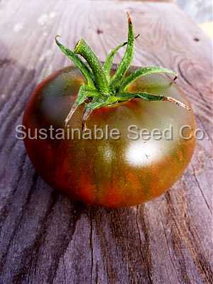 Photo of Tomato (Solanum lycopersicum 'Brandywine, Black') uploaded by vic