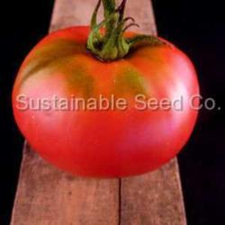 
Courtesy Sustainable Seed Company