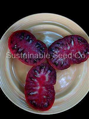 Photo of Tomato (Solanum lycopersicum 'Paul Robeson') uploaded by vic