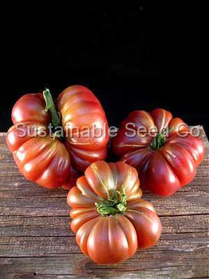 Photo of Tomato (Solanum lycopersicum 'Purple Calabash') uploaded by vic