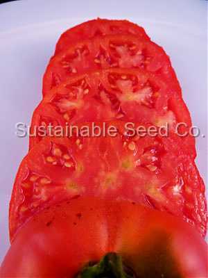 Photo of Tomato (Solanum lycopersicum 'Traveler') uploaded by vic
