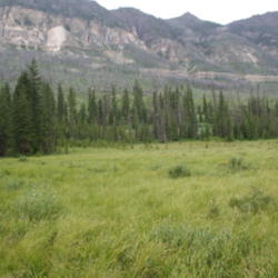 Location: Absaroka Range in Wyoming
Date: 2013-07-25