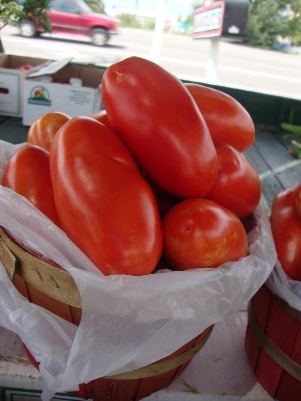Photo of Tomato (Solanum lycopersicum 'Roma') uploaded by Paul2032