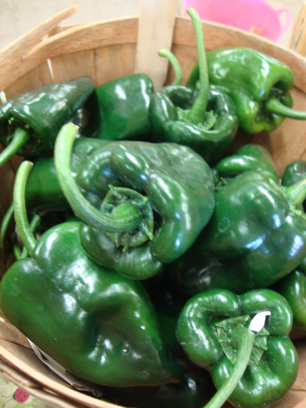 Photo of Chili Pepper (Capsicum annuum 'Poblano') uploaded by Paul2032