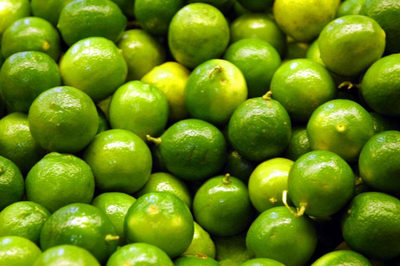 Photo of Persian Lime (Citrus x latifolia) uploaded by robertduval14