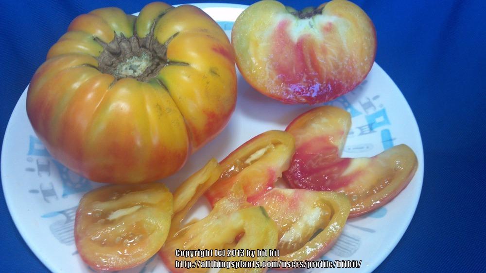 Photo of Tomato (Solanum lycopersicum 'Virginia Sweets') uploaded by bitbit