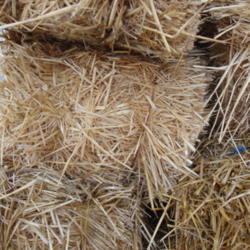 
Date: 2013-10-09
Wheat Straw