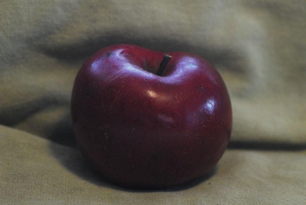 Photo of Apple (Malus domestica 'MacFree') uploaded by vic