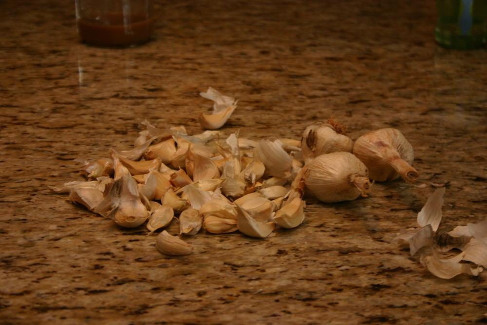 Photo of Garlic (Allium sativum 'Early Red Italian') uploaded by jon