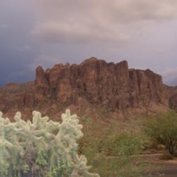 Location: Superstition Mtns, Arizona
Date: July 2007