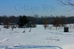 Thumb of 2014-02-19/Cottage_Rose/da7b63
