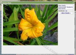 Thumb of 2014-04-20/daylily/47426d