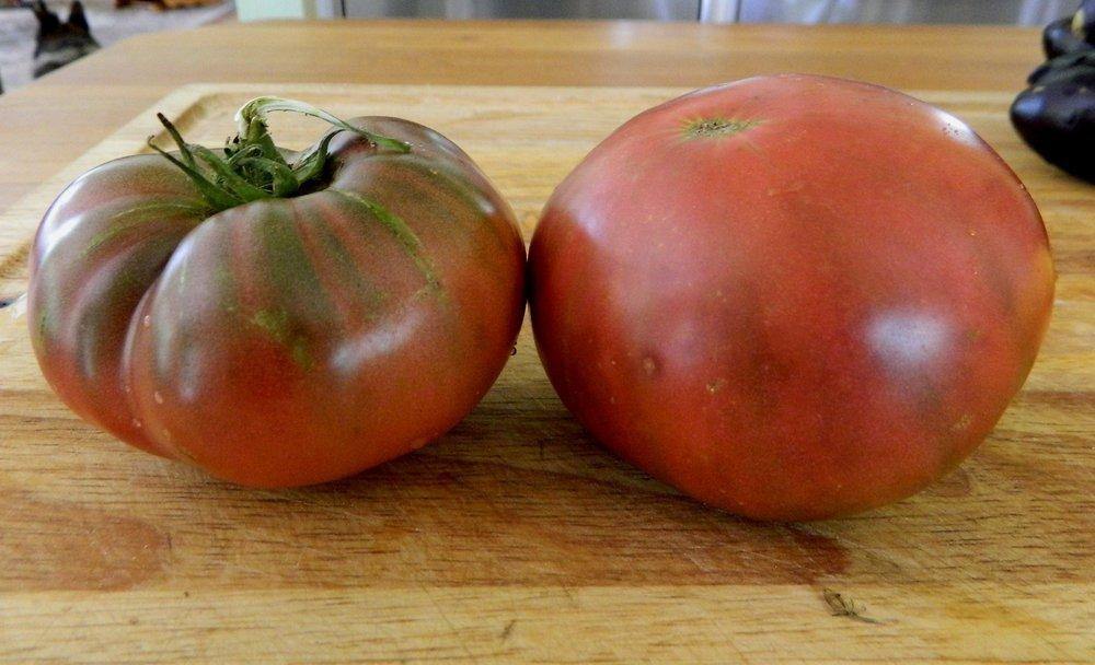 Photo of Tomato (Solanum lycopersicum 'Barlow Jap') uploaded by wildflowers