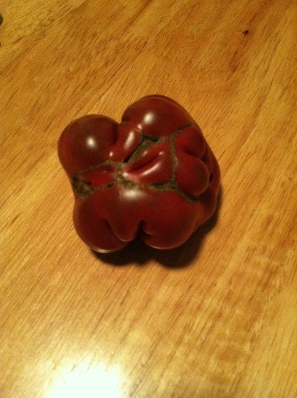 Photo of Tomato (Solanum lycopersicum 'Purple Calabash') uploaded by Anderwood