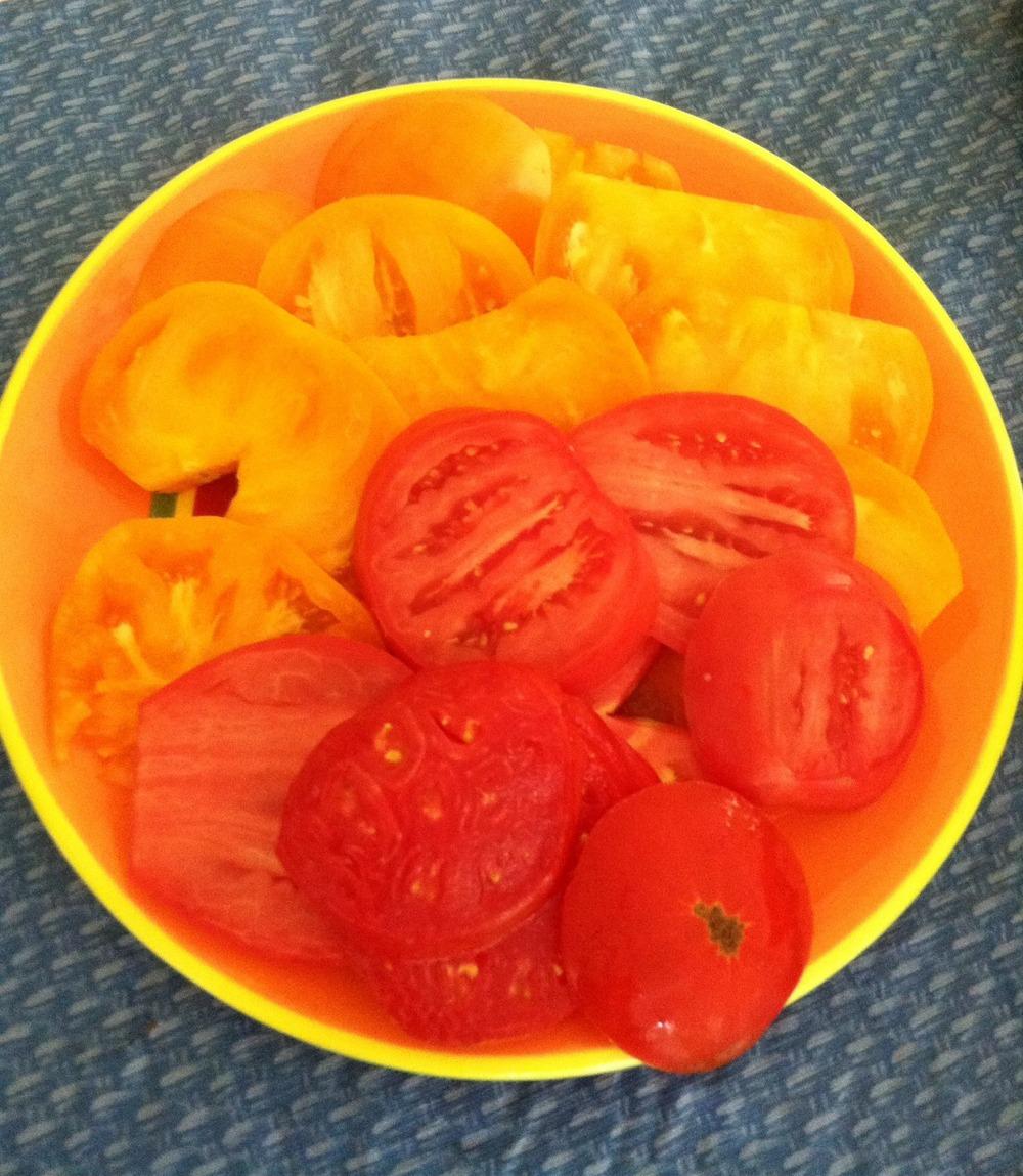 Photo of Tomato (Solanum lycopersicum 'Amana Orange') uploaded by Anderwood