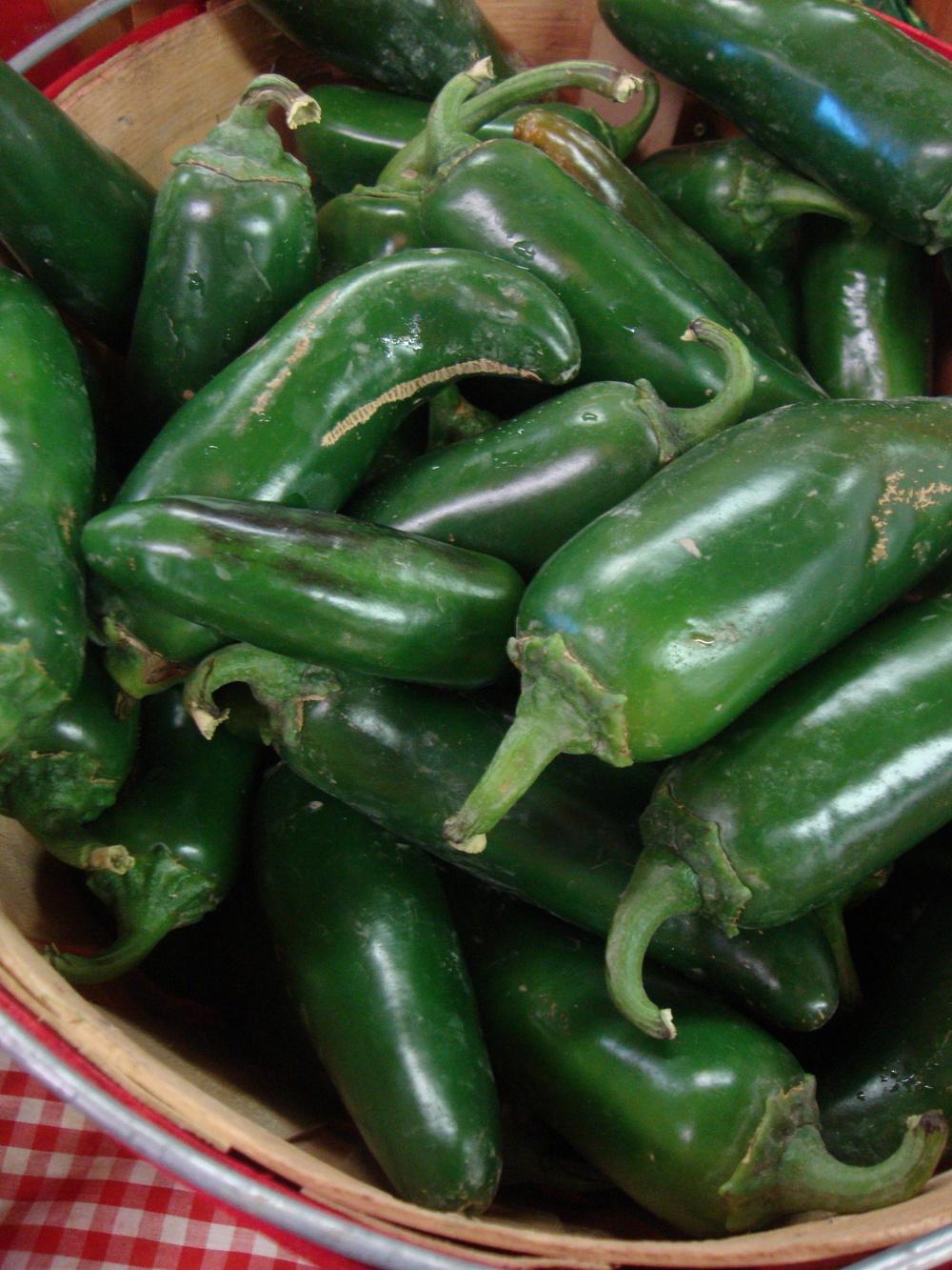 Photo of Jalapeno Pepper (Capsicum annuum 'Jalapeno') uploaded by Paul2032
