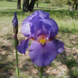 Location: north central Texas
Date: 2004-04-08